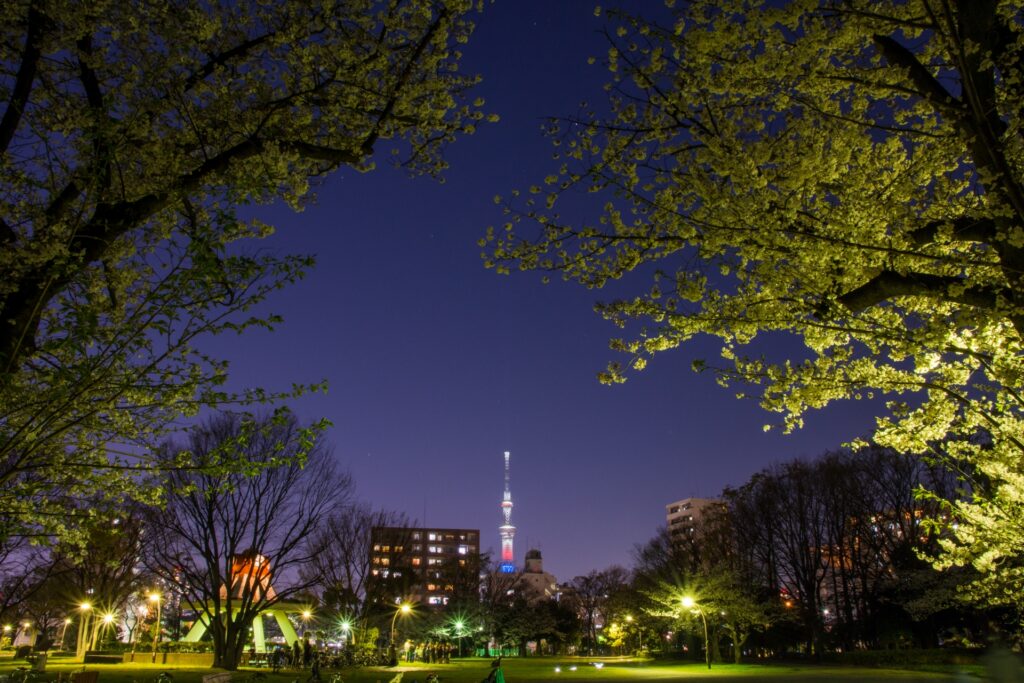 亀戸中央公園