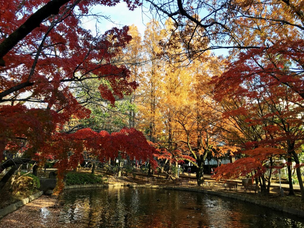 馬橋公園