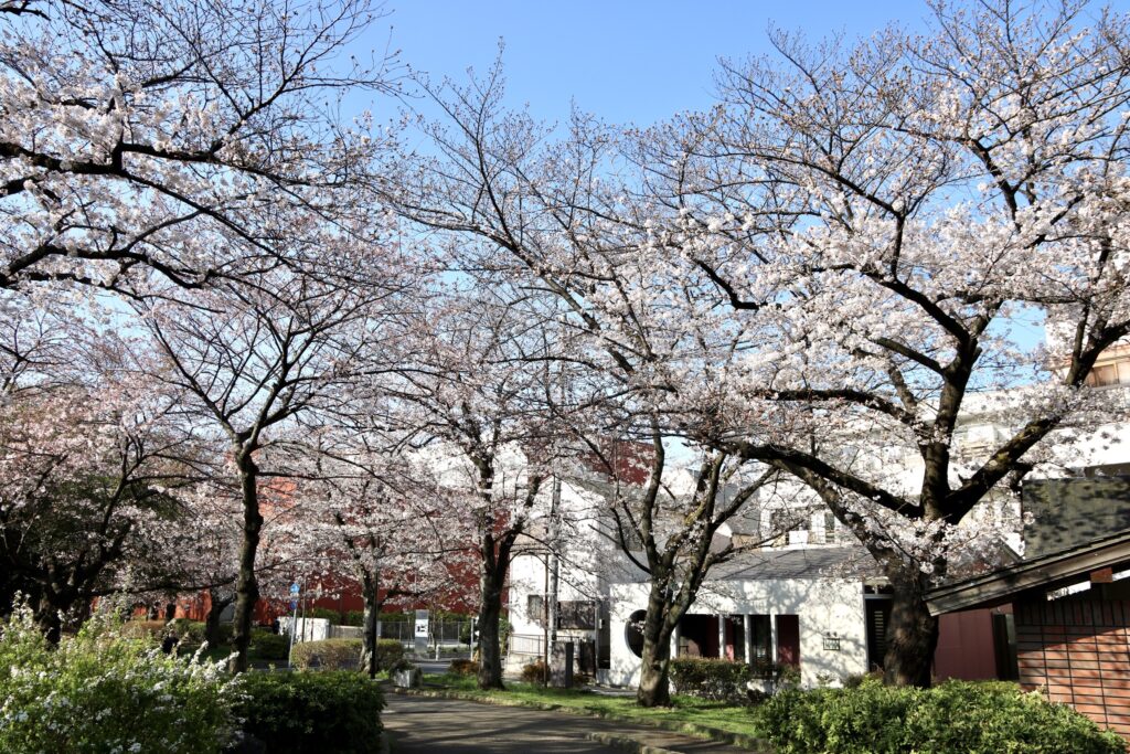東綾瀬公園
