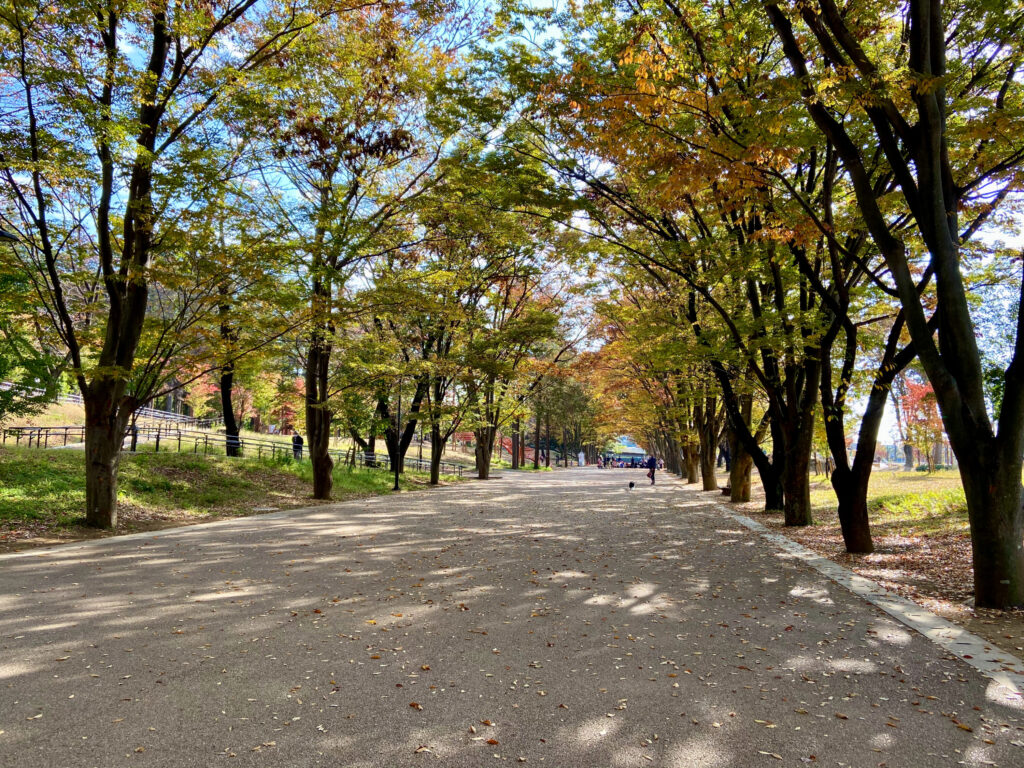 鶴間公園