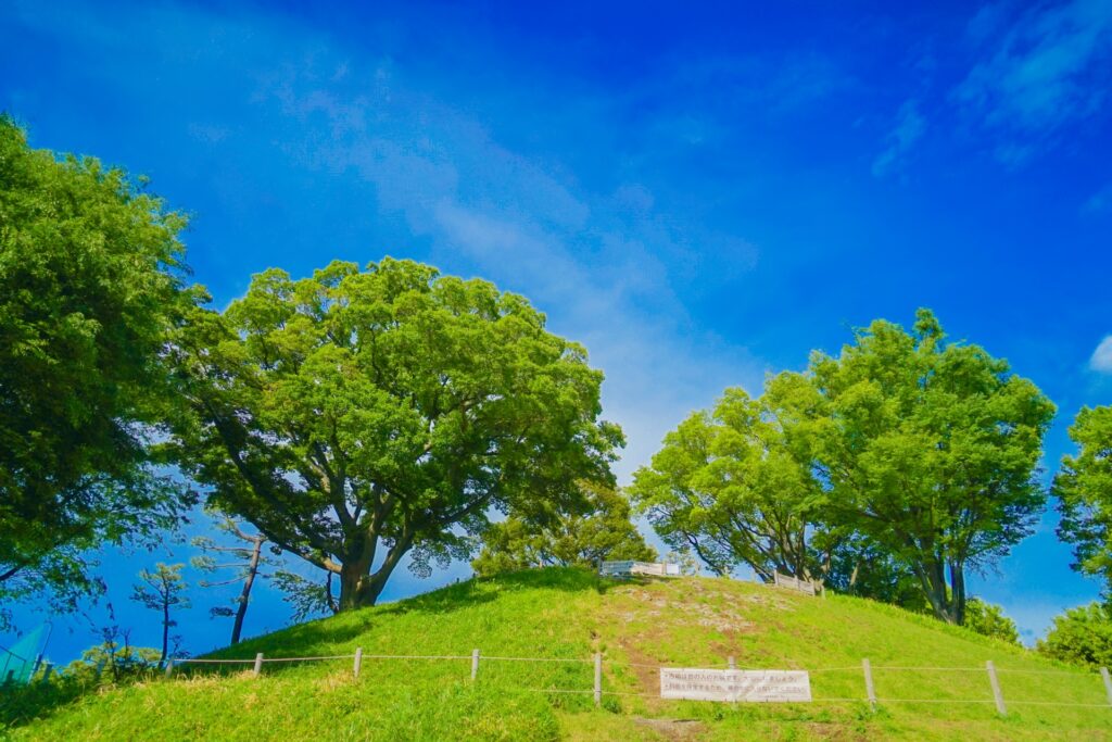 玉川野毛町公園