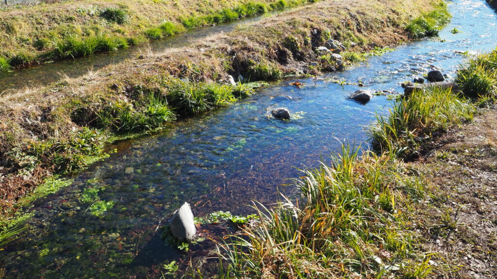 ママ下湧水公園