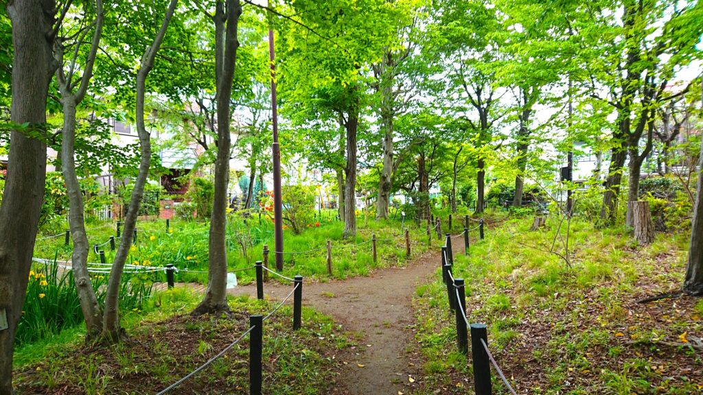 黒川清流公園