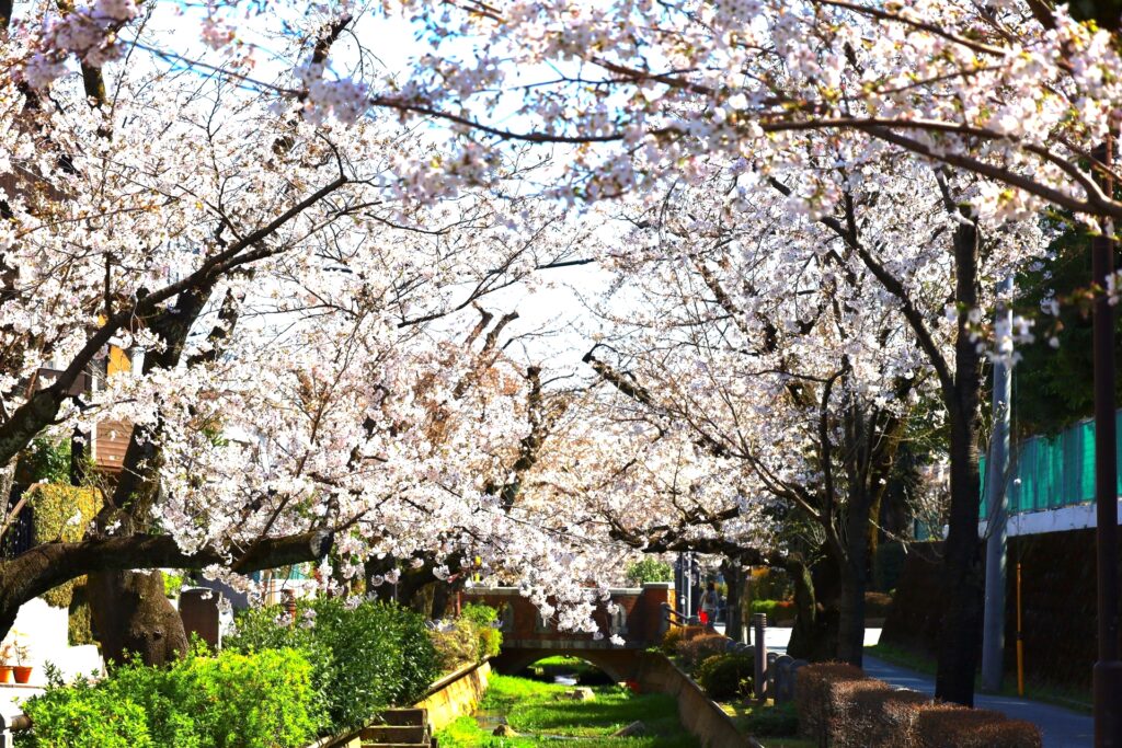 呑川親水公園