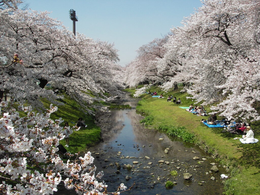 根川緑道