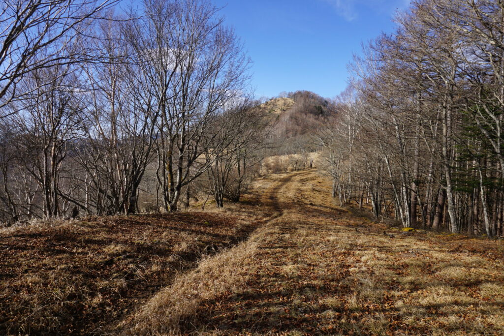鷹ノ巣山