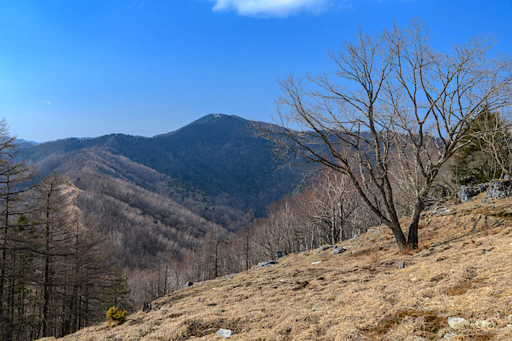 七ツ石山