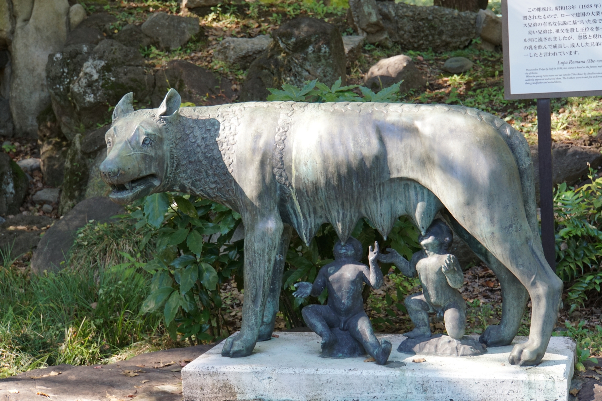 日比谷公園・ルーパロマーナ