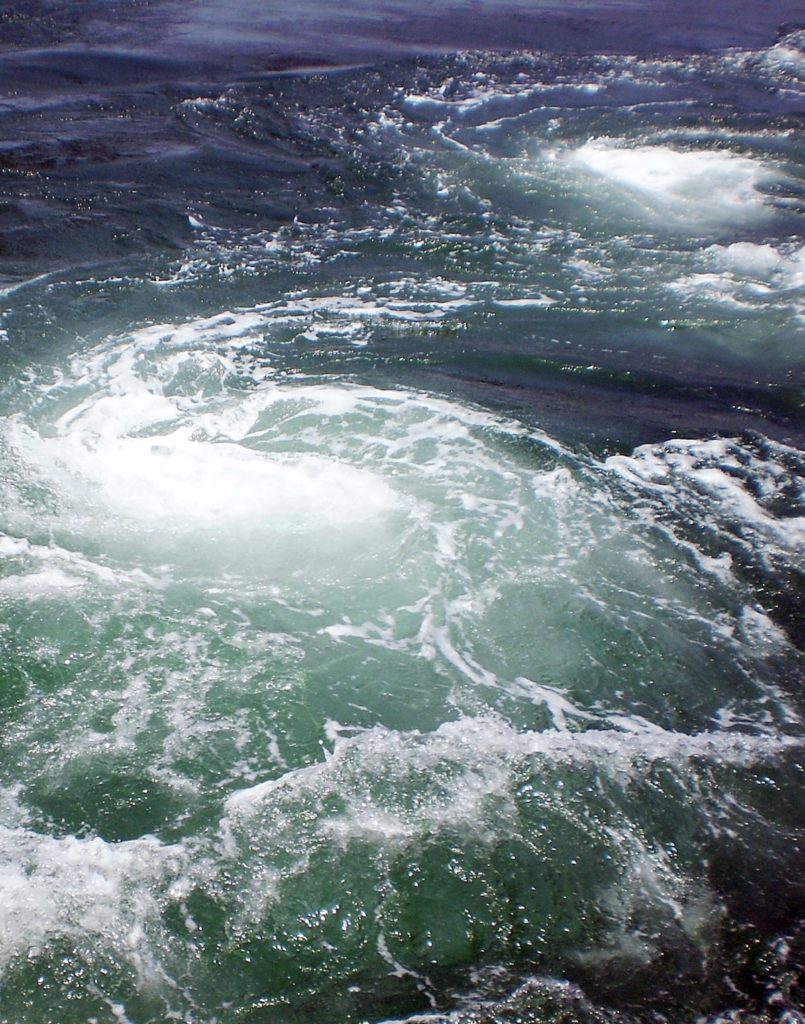 うずしお観潮船（鳴門観光汽船）