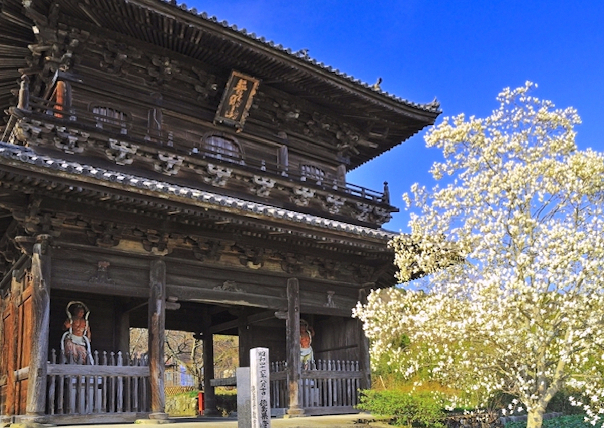 熊谷寺（四国八十八ヶ所霊場第8番札所）