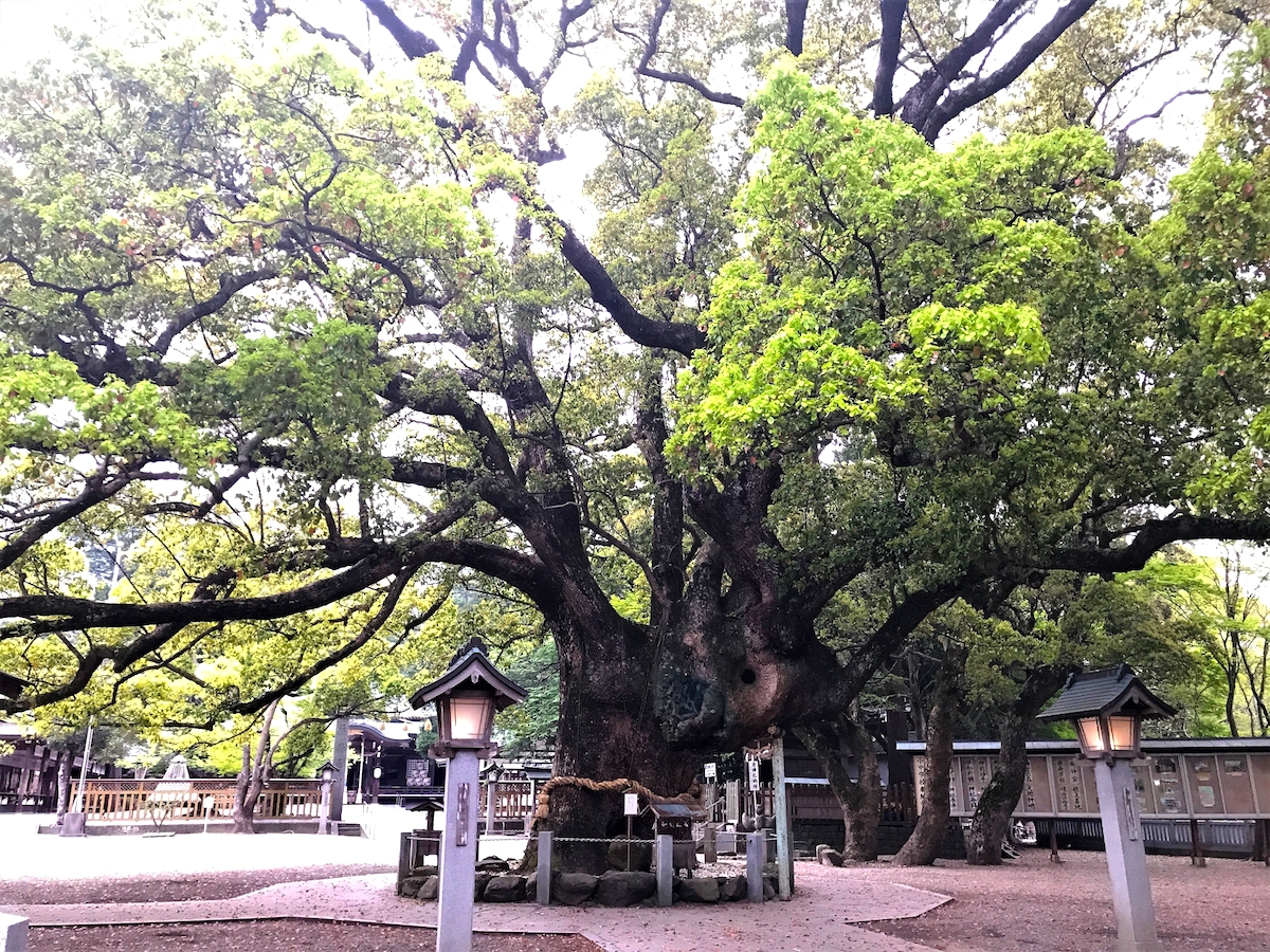 大麻比古神社
