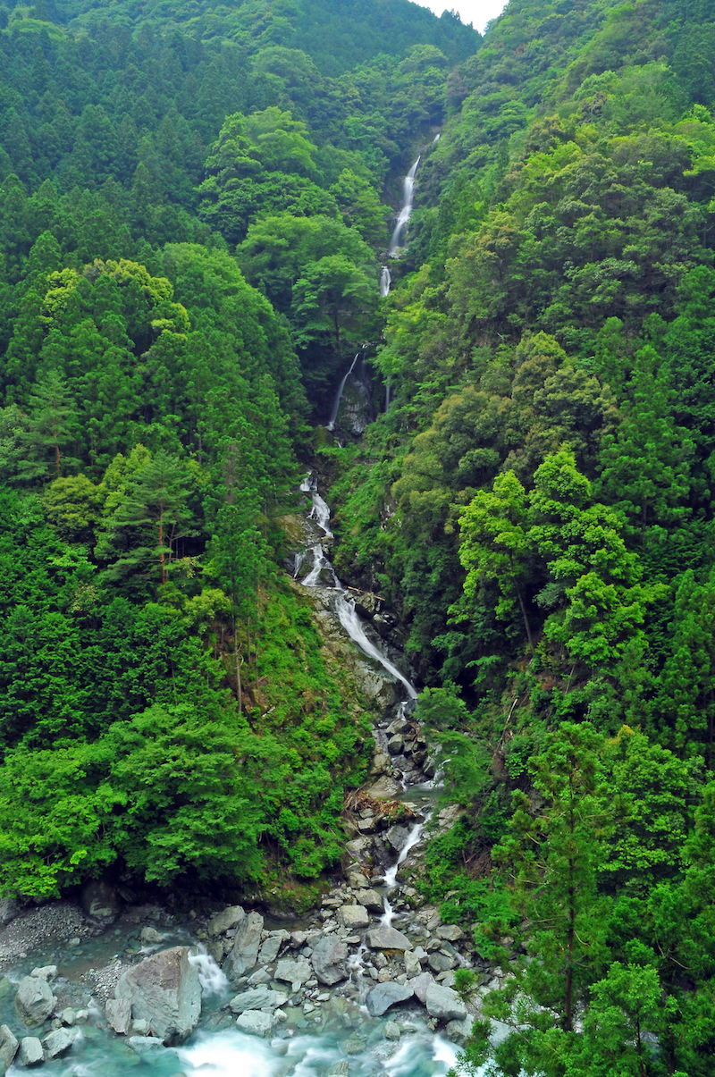 鳴滝