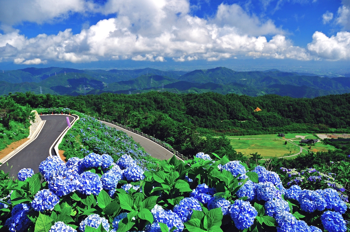 大川原高原（大川原ウインドファーム）