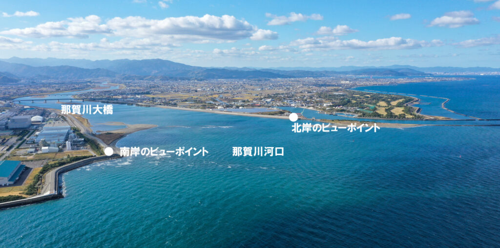 那賀川河口