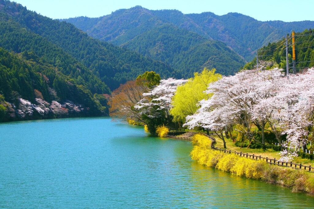 川口ダム（あじさい湖）