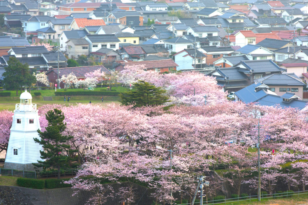 境台場公園（鳥取藩境台場跡）