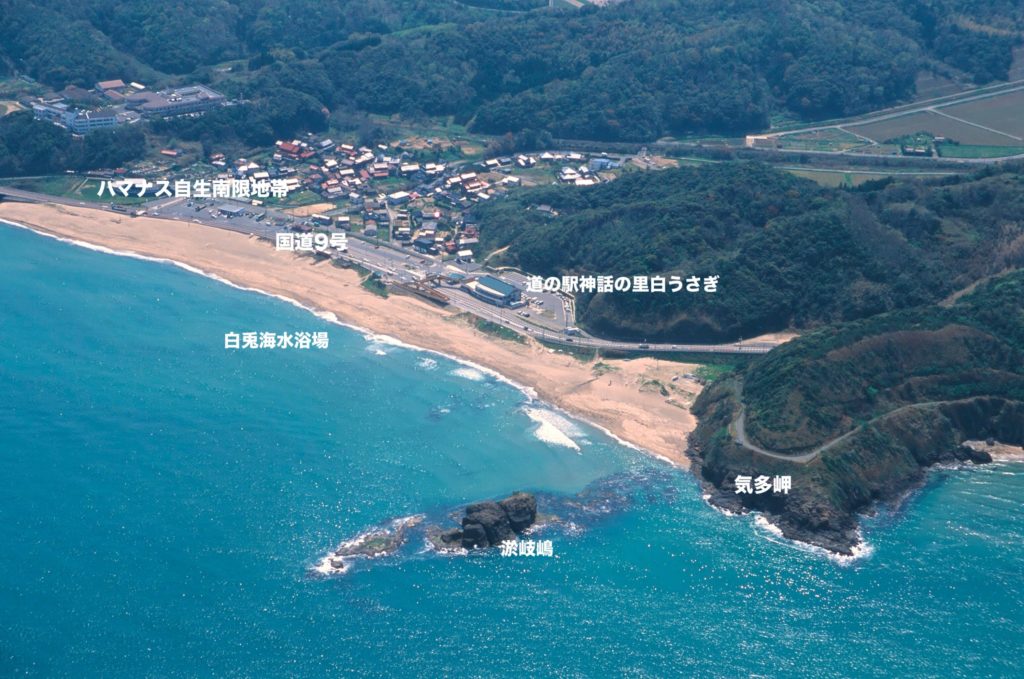 ハマナス自生南限地帯（鳥取市）