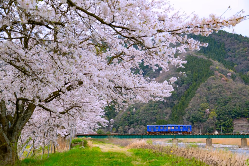 若桜鉄道・第二八東川橋梁