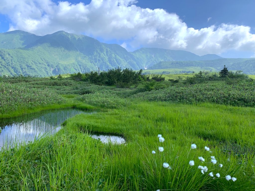 弥陀ヶ原