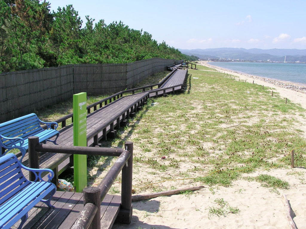 氷見市海浜植物園