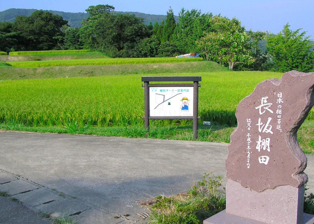 長坂の棚田