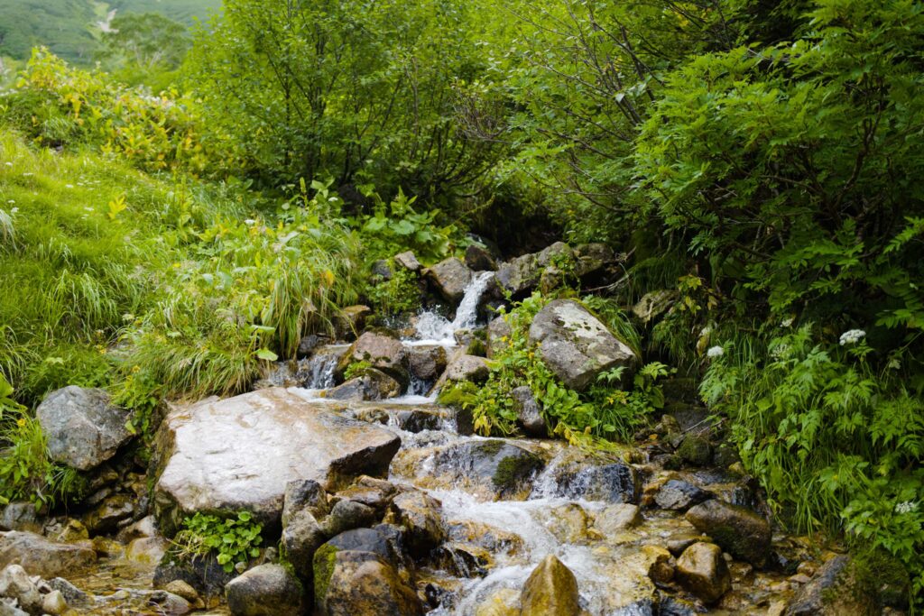 黒部川水源地標（黒部川源流）