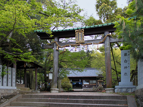 千年もの樹齢の楠木が境内一杯に覆い繁っている和歌山県海南市の藤白神社