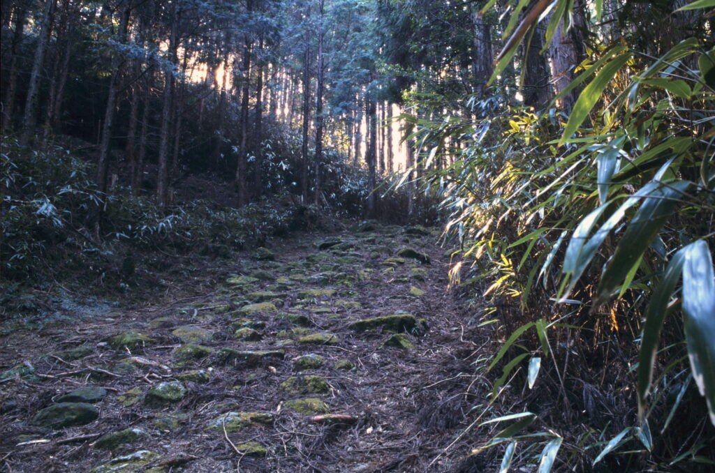 大雲取越