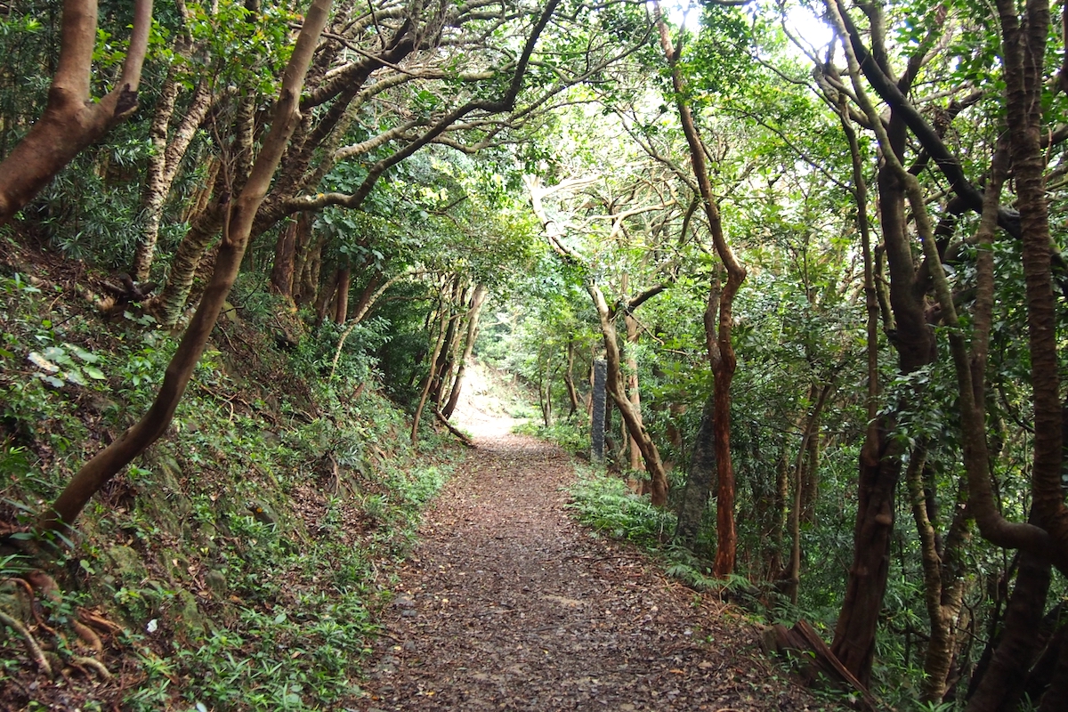 友ヶ島（沖ノ島）