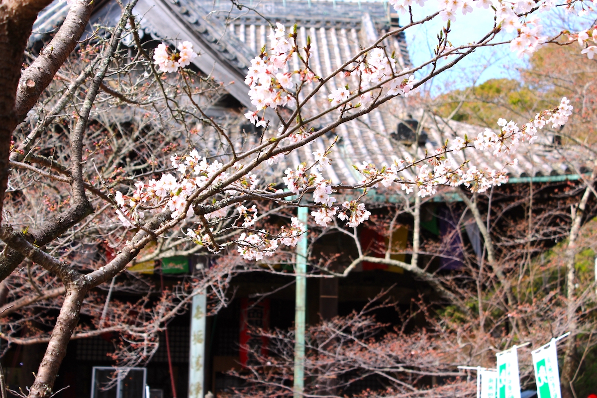 紀三井寺