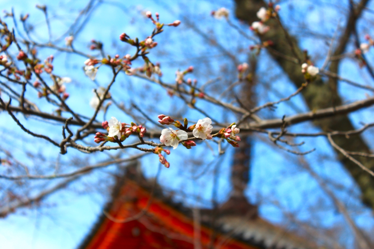 紀三井寺