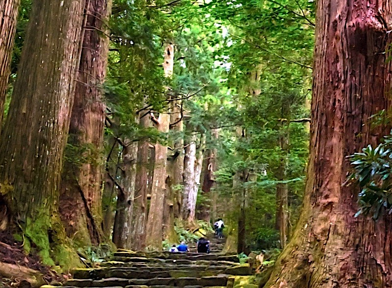 大門坂