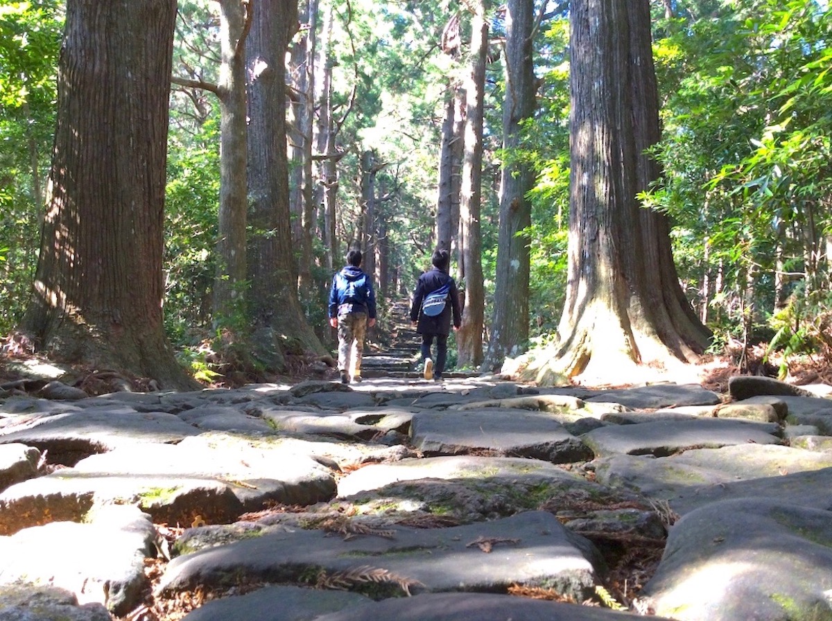 熊野古道・中辺路大門坂