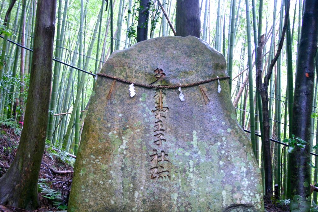 多富気王子