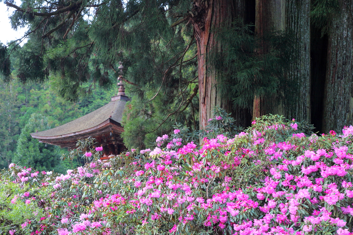 金剛三昧院
