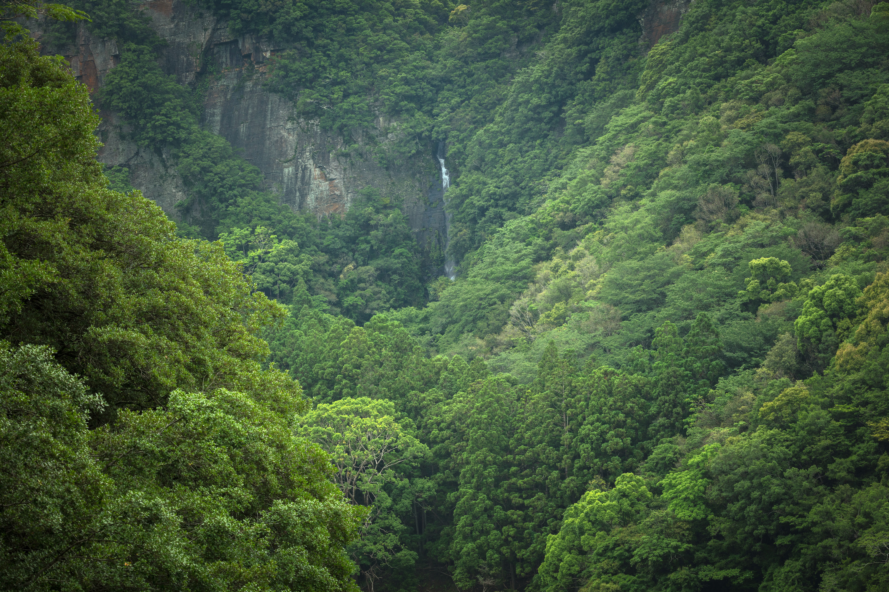 八草の滝
