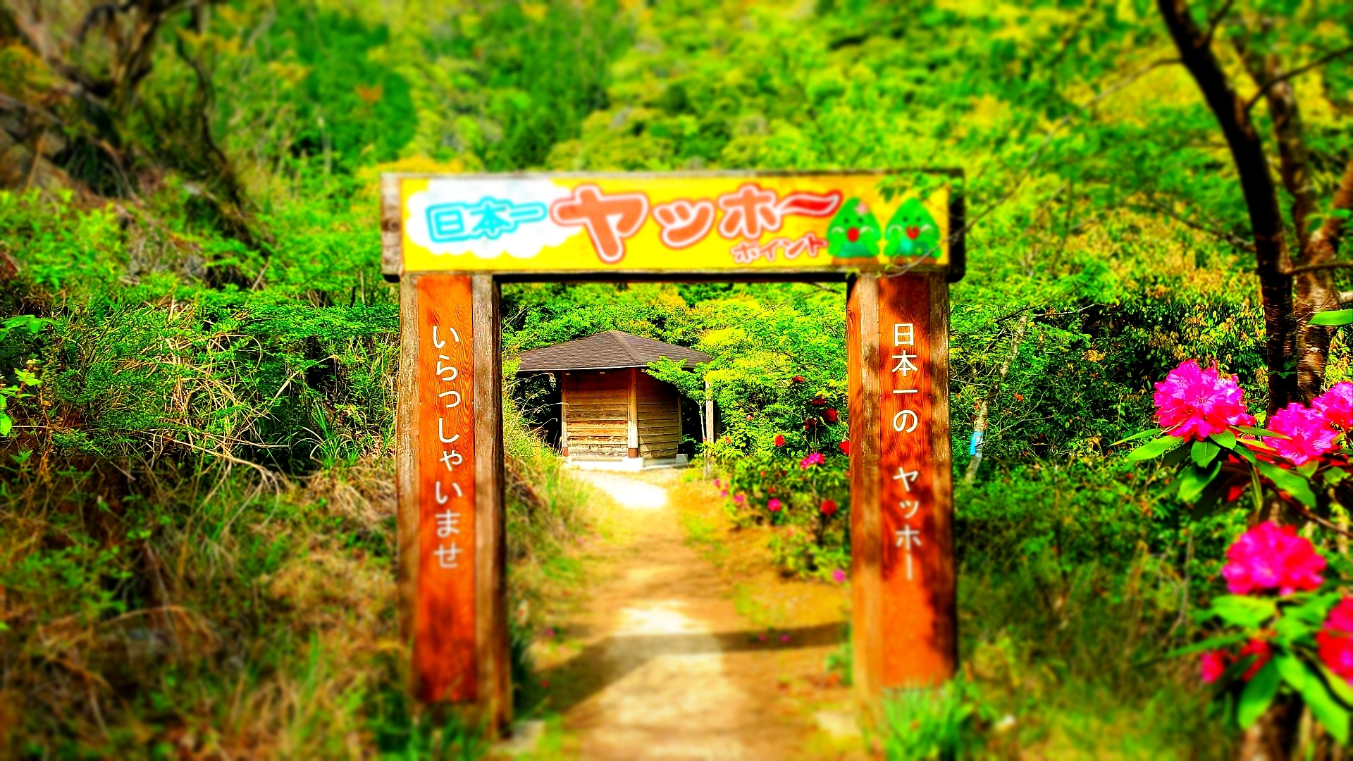 日本一楽しいヤッホーポイント