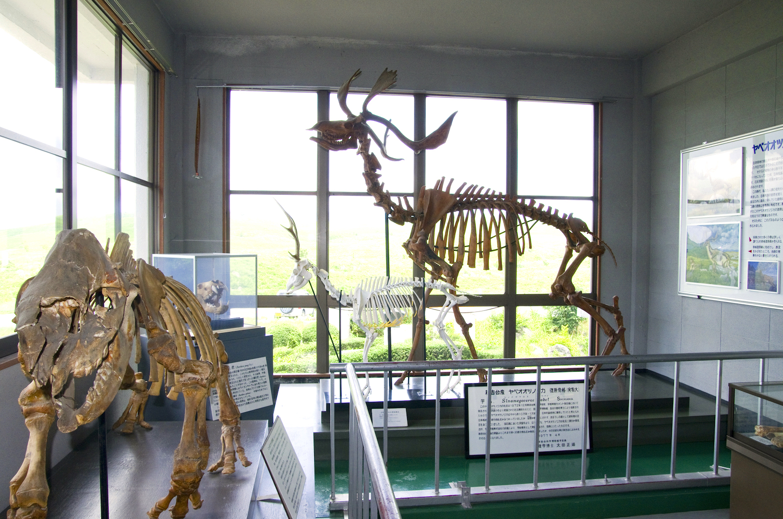 秋吉台科学博物館