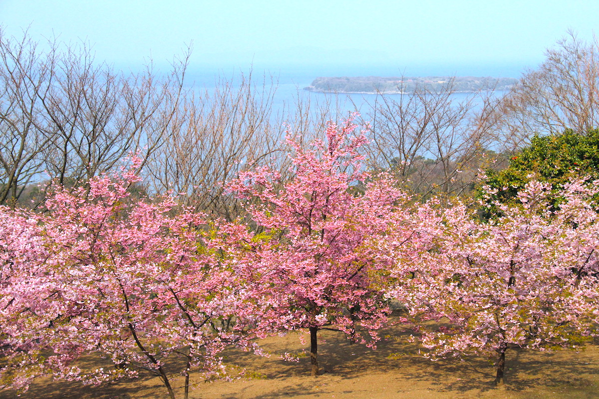 笠山