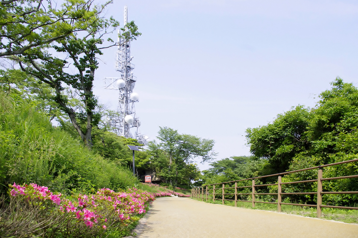 火の山公園