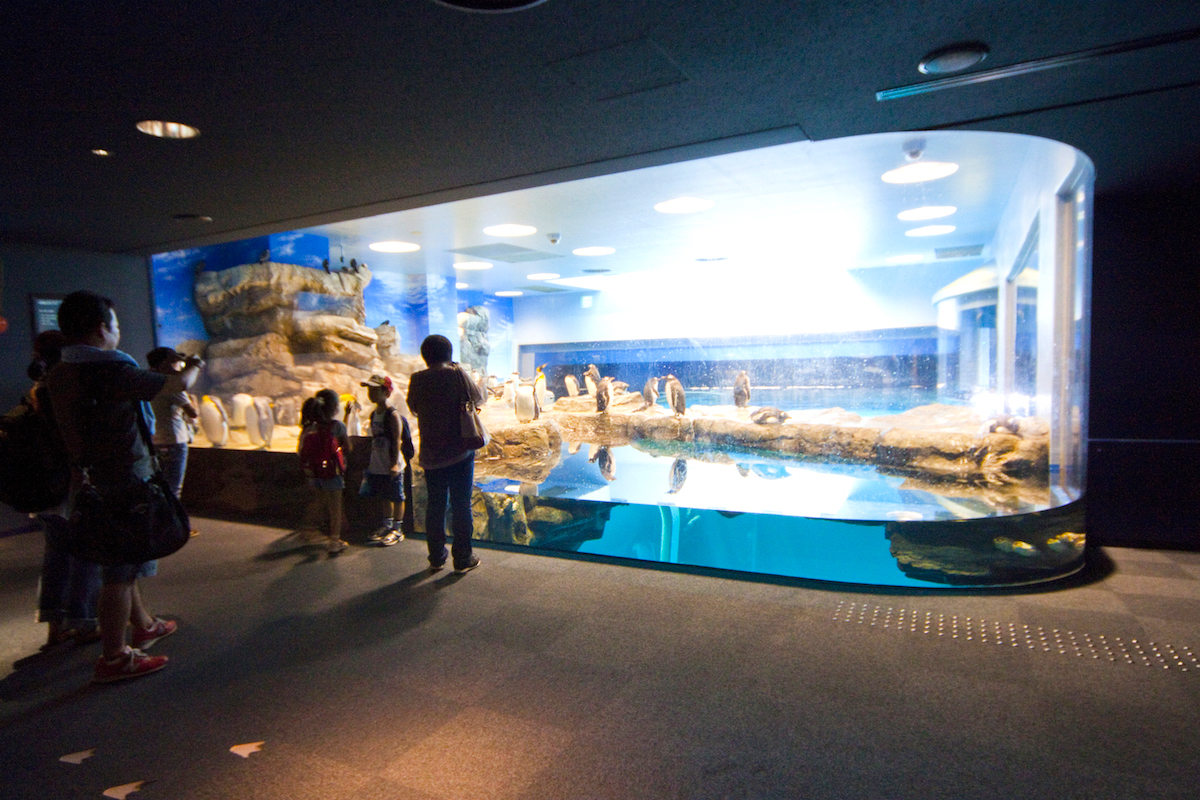 下関市立しものせき水族館「海響館」