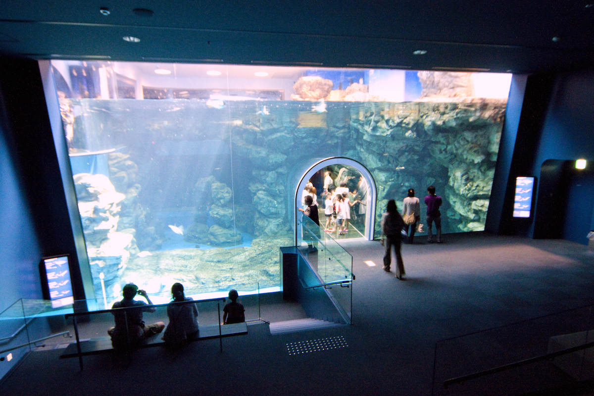 下関市立しものせき水族館「海響館」