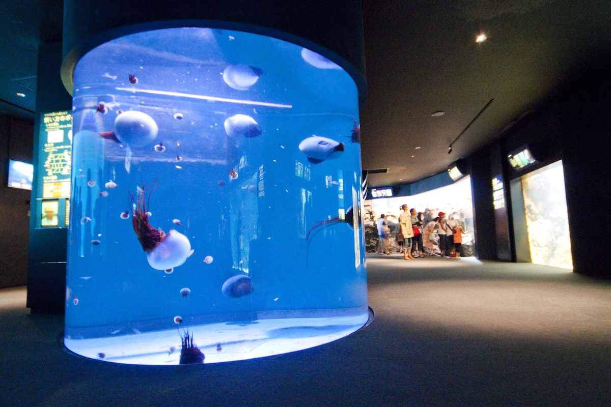 下関市立しものせき水族館「海響館」