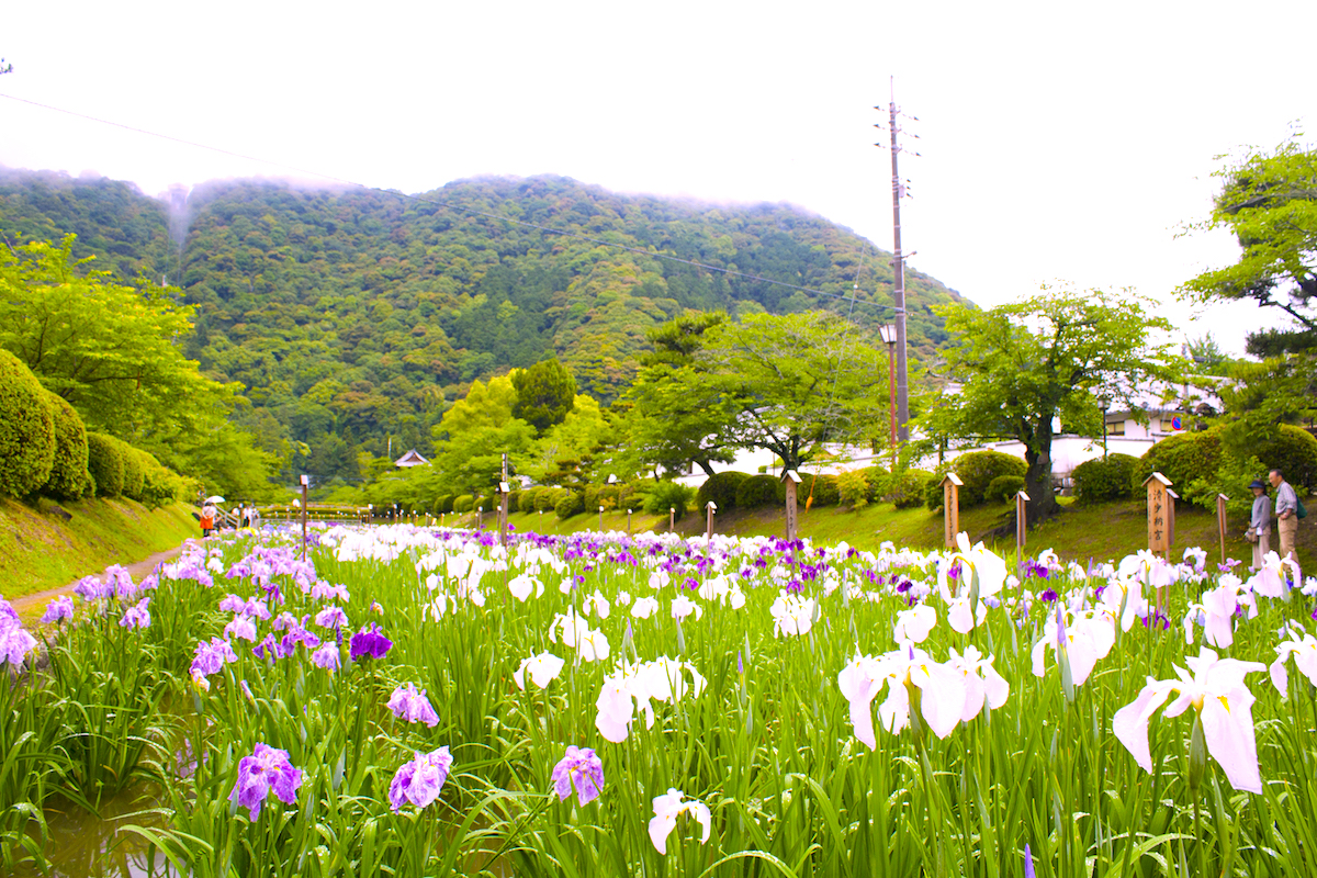 吉香公園