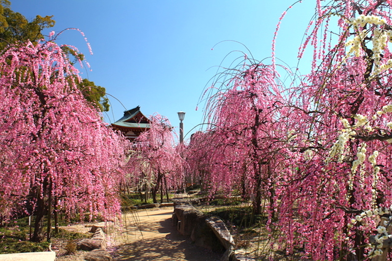 防府天満宮