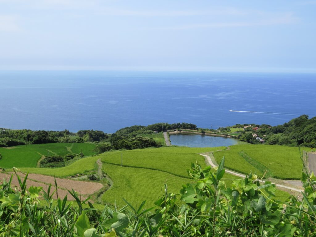 東後畑棚田