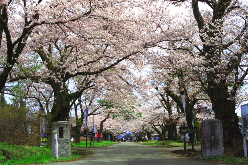 松ヶ岡開墾記念館