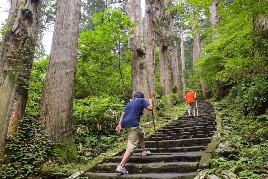羽黒山・表参道杉並木