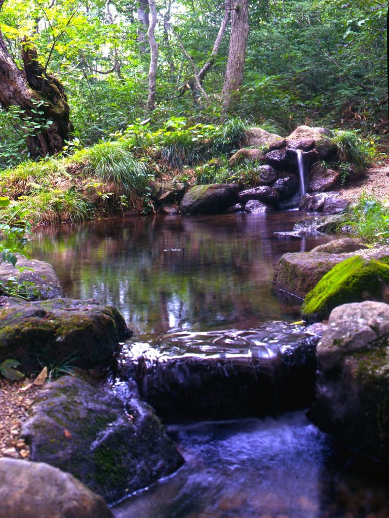 月山山麓湧水群・ブナの泉