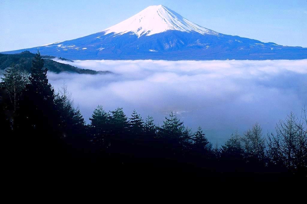 西川新倉林道